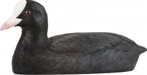 Wildlife Garden Decobird Eurasian Coot hand carved