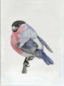 Emma Sjödin tea towel 47x60 cm bullfinch