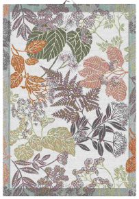 Ekelund Autumn nature tea towel (oeko-tex) 35x50 cm brown, white, multicolored