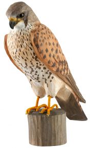 Wildlife Garden Decobird kestrel hand carved