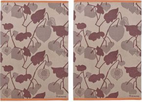 Finlayson Alku (Start) tea towel (eco-tex) 50x70 cm beige, orange 2 pcs