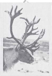 Ekeklund Animals Reindeer tea towel (oeko-tex) 35x50 cm grey