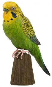 Wildlife Garden DecoBird Budgerigar hand carved