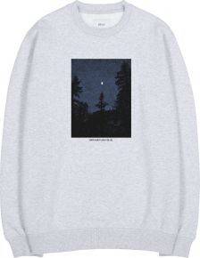 Makia Clothing Men fleece sweatshirt light grey / print Solstice